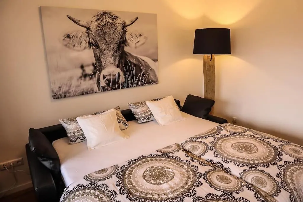 Apartment Zentrales Appartement Im Alpin-Style In Garmisch Germany